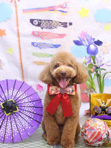 20240517マロンくん